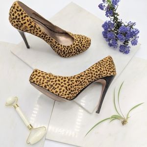 BCBG 6.5 Leopard Pumps